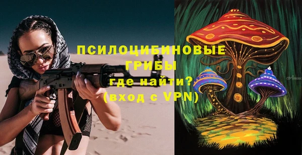 apvp Алзамай