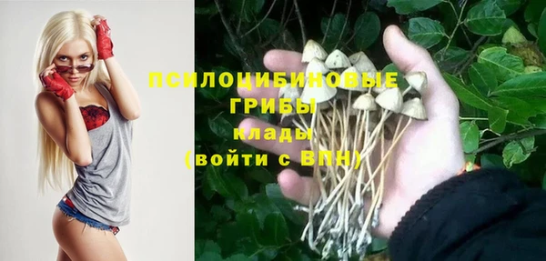 apvp Алзамай