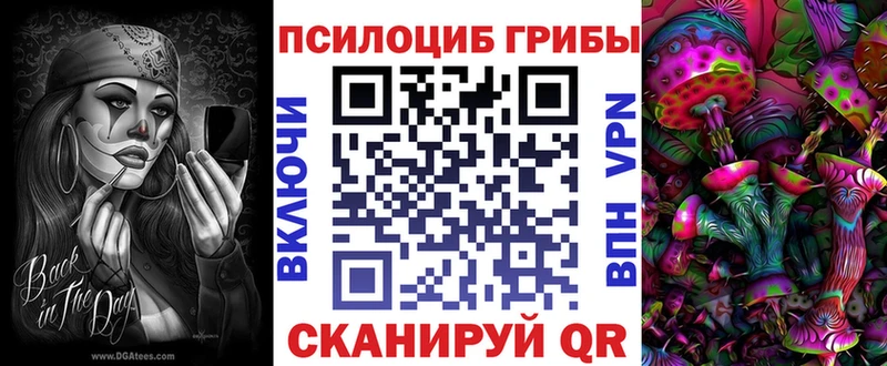 Псилоцибиновые грибы прущие грибы  сайты даркнета официальный сайт  Сасово  как найти закладки 